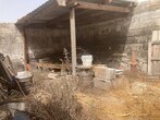 15317_41.JPG