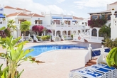 ROYAL_PALM__1_.JPG